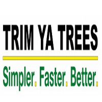 Trim Ya Trees