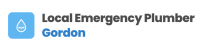 Local Emergency Plumber Gordon