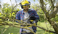 arborist in Melbourne
