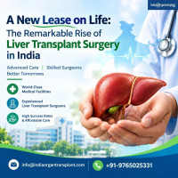 Liver Transplant Price in India