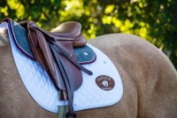 Castlefin Equestrian