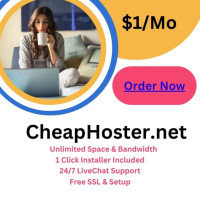 Best $1 Hosting Provider