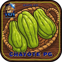 CHAYOTEPG