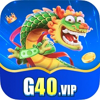 G40 VIP