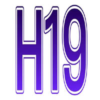 H19