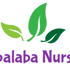 Capalaba Nursery