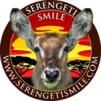 Serengeti Smile – Leading Tanzania Safari Operators