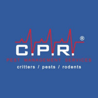 Residential Pest Control Hunter Valley - CPR Pest Services