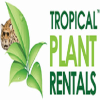 Tropical Plant Rentals | Australia's #1 Plant Hire Company