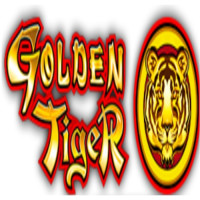 Golden Tiger *****