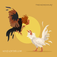 thomohomnaynoviV