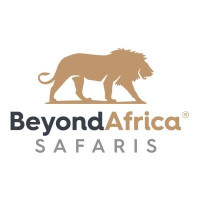 Experience the Best in Comfort with Luxury African Safaris