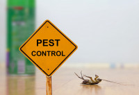 Local Pest Control Kellyville