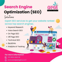 SEO Company in Jaipur