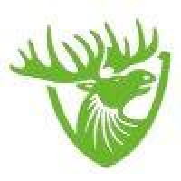 Greenmoose plumbing Ltd - Plumbing Repair Surrey– Drainage and Pipe Blockage Solutions