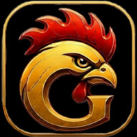 GAKING88 ga king 88 Điểm Nhấn Sới Gà Buổi Chiều