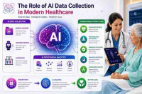 AI Data Collection Company Pricing Explained