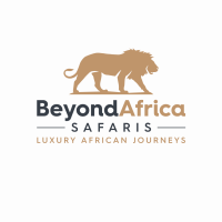 Top Victoria Falls tours