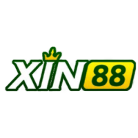 xin88expert
