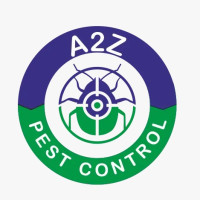 Wasp Control