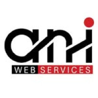 Professional Web Design & Development | ANI Web Services
