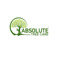 Tree Removal Wonthaggi