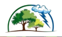 Affordable and Reliable Tree Service