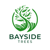 Bayside Trees | Tree Removal & Pruning