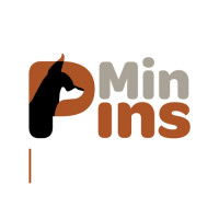 BlackGranite Miniature Pinschers