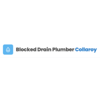 Blocked Drain Plumber Collaroy