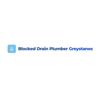 Blocked Drain Plumber Greystanes