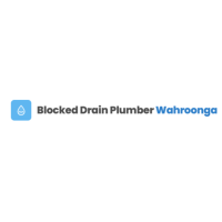 Blocked Drain Plumber Wahroonga