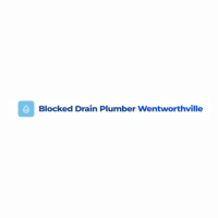 Blocked Drain Plumber Wentworthville