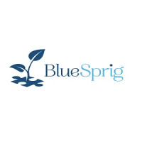 BlueSprig Stone Oak - ABA Therapy for Autism