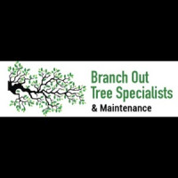 Branch Out Tree Specialist