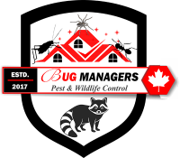 Bug Managers