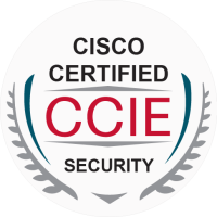 Sprintzeal | Network Engineering & Enterprise Architecture