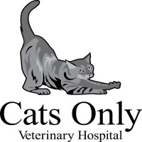 Cats Only Veterinary Hospital