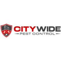 City Wide Cockroach Removal Brisbane