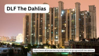 DLF The Dahlias