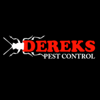 Dereks Wasp Removal Melbourne