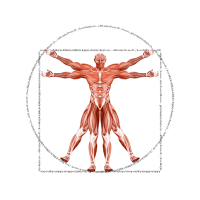 Dr. Muscle