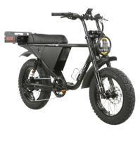 Surron ebike Australia - CoolyBikes