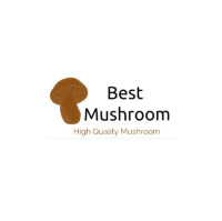 Best Mushroom Shop
