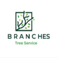 Branches Tree Service Denistone