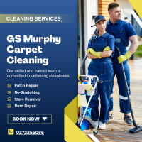 Carpet Cleaning Homebush