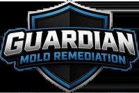 mold testing cincinnati ohio