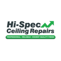 Hi-Spec Ceiling Repairs