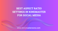 Best Aspect Ratio Settings in KineMaster for Social Media