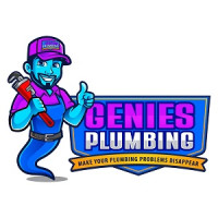 Genies Plumbing & Drain Experts